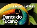 LEONEL LATERZA - Dança do Tucano (Dori Caymmi e Paulo César Pinheiro)