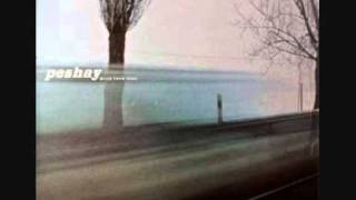 Peshay - Miles From Home (Mo Wax)