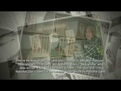 The Story of Van Der Wegen Pigeons