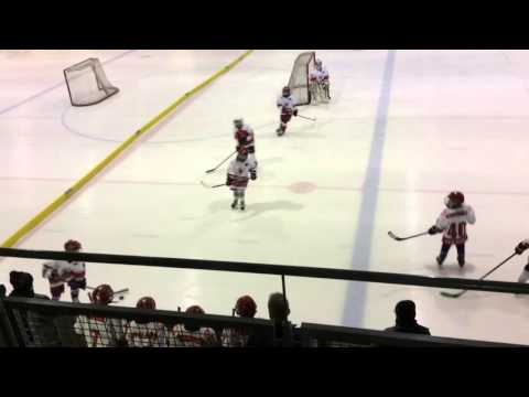 PiPS - SaPKo F06 17012016