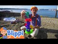 Blippi Builds Sandcastles Goes Kayaking At The Beach Educational Videos For Kids