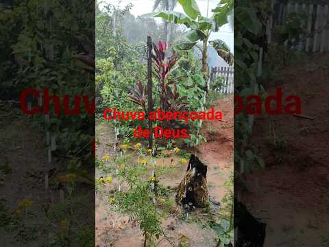 Chuva em capixaba Acre ❤️❤️❤️.