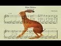 Here Before - Vashti Bunyan (piano arrangement)