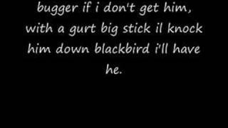 The Wurzels - Blackbird