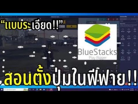 ฟีฟาย ruok
