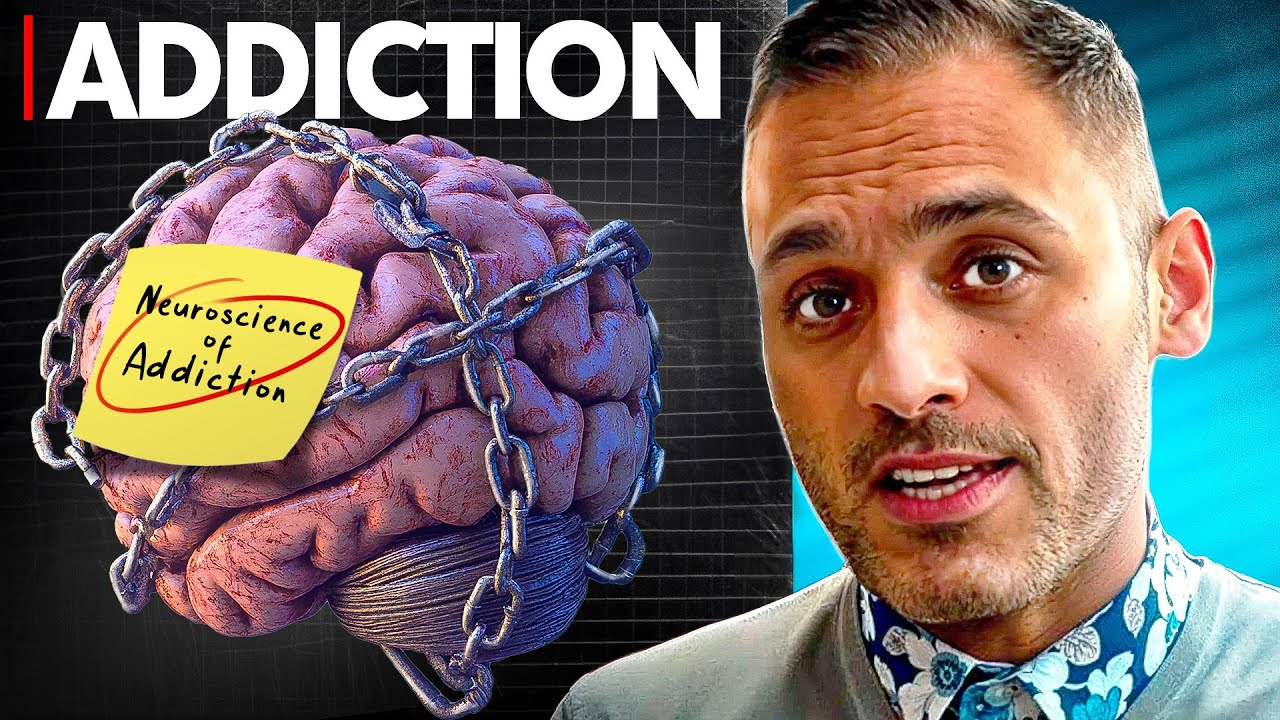 How Addiction Hijacks the Brain’s Survival Circuits—A Neuroscience Breakdown