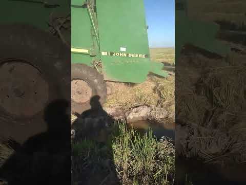 rollos rastrojo de arroz Mercedes Corrientes #arrocera #tractorvideo #valtra #arrolladora