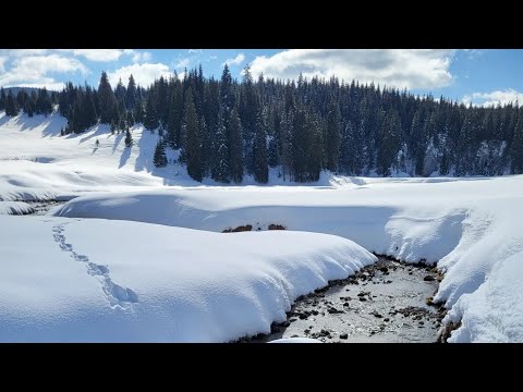 🥾Drumetie de iarna la Padis - Poiana Ponor, Muntii Apuseni❄️