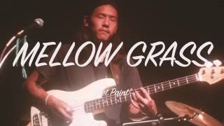 Mellow Grass - &quot;Wet Paint&quot;