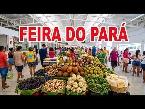 FEIRA DE BARCARENA-PARÁ 