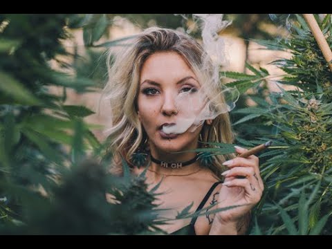 🤪☘️POLSKI CHILL DO BACIKA!🥦💚 MUZYKA RELAKSACYJNA DO JARANIA!!✅🍃