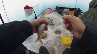 Почему не клюет на белоярке