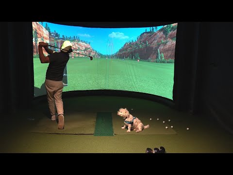 Persimmon vs modern driver test - done properly