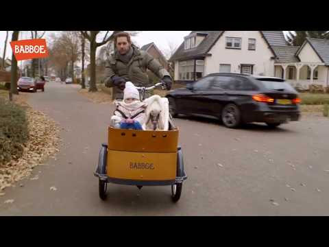 Cargo bike Babboe Curve, spaziosa robusta a pedalata assistita, vediamo insieme i plus!