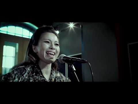 Till Youre Gone - Fool's Decade