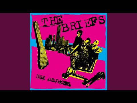Destroy the USA - The Briefs
