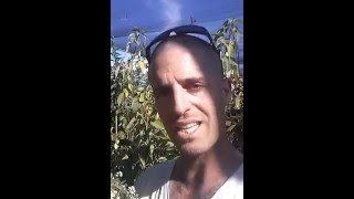 סלסלי כסף