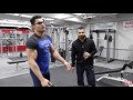 Biceps. Triceps workout for bodybuilding