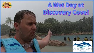 A Wet Day at Discovery Cove Swimming with Manta Ray!