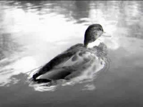 Turgay K - Cöl Olur Marmara ( Full )