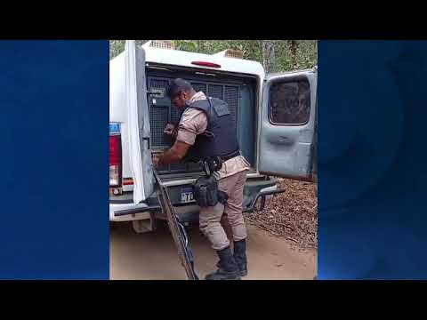 🚨 FEMINICÍDIO EM SANTA EFIGÊNIA DE MINAS | TV GUANHÃES | 02/06/2026