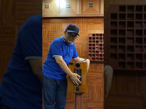 MK800 blue tooth active speaker