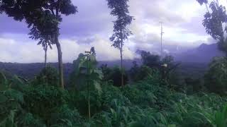 Download lagu cinematik senja || story wa || mughrom hadroh 30 detik ||@aldickn_official2695 mp3 Download lagu cinematik senja || story wa || mughrom hadroh 30 detik ||@aldickn_official2695 mp3