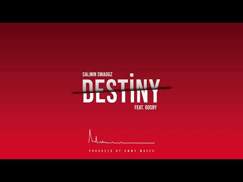 Salmin Swaggz - DESTINY ft. Gosby (Official Audio)
