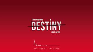 Salmin Swaggz - DESTINY ft. Gosby (Official Audio)