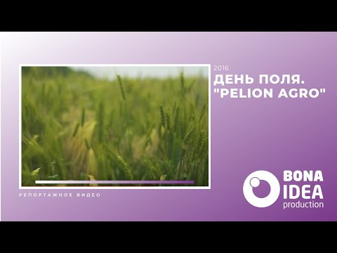 День поля. "Pelion Agro", Одесса, 2016 - YouTube