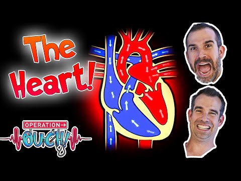 #ValentinesDay Special! ❤️ - All About The Heart! | Science for Kids | Operation Ouch
