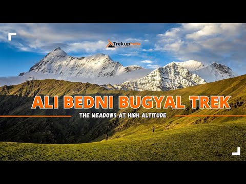 Ali Bedni Bugyal Trek - A Complete Guide with Detailed Itinerary, Costs & Trek Tips | Trekup India