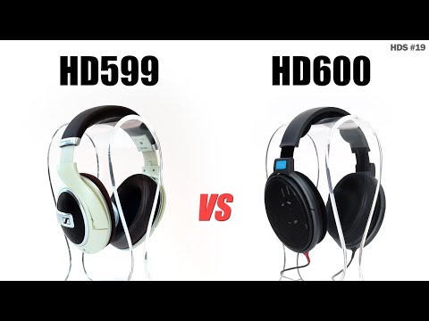 Hd599