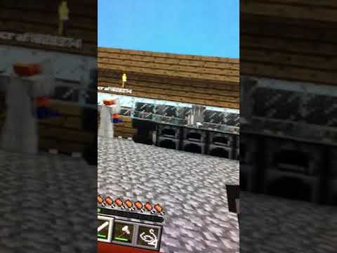 Alicia Killcoyne - Dog glitches in Minecraft