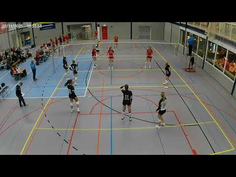 taurus d1 - donki sjot  221125  video 1