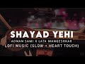 Shayad Yehi Toh Pyaar Hai : Adnan Sami x Lata Mangeskar ( Slow + Heart Touch ) | Lofi Love Song 2022