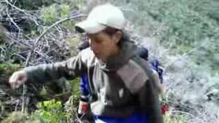 otra cara bonita vos veis