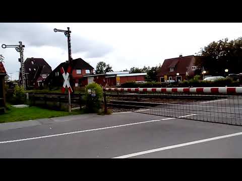 Rdc niebüll nach sylt(1)