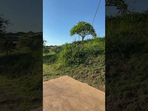 DIA LINDO DE SOL EM ANÁPOLIS - GOIÁS! 🌞🏙️ #shorts