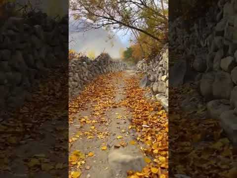 |short feed youtube search channel page Browse features notification hashtag pages|