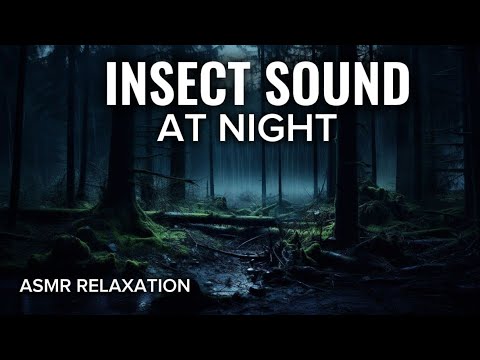 ASMR Relaxing Sounds Of Forest at Night Insect, Cricket | Nature Sound #relaxing 