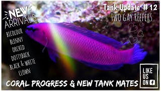 New Tank Mates! Tank Update 12