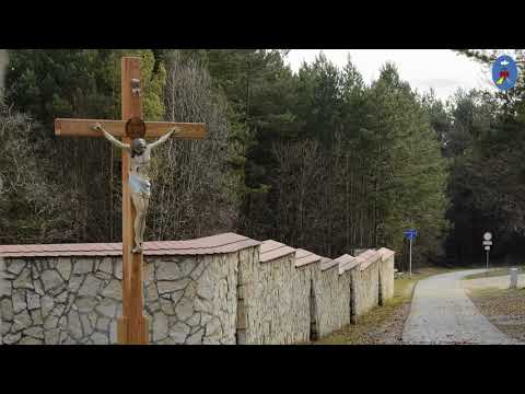 Pustelnia 23.05.2020 - Różaniec II (Józefowy)