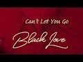 Sarkodie - Can't Let You Go ft. King Promise (Audio Slide)