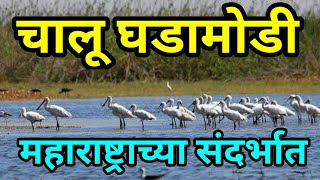 Mpsc current affairs ! chalu ghadamodi in marathi ! rajyaseva combined prelims exam update ! Mpsc