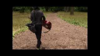 That's what makes you strong (Jesse Winchester cover by Ronda Swindell)