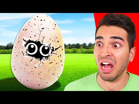 L'UOVO MISTERIOSO SI È APERTO!!