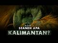 Alam Liar Terakhir Pulau Terbesar Ketiga Pulau Kalimantan Part 1