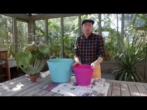 Astuce, planter des bulbes en pots sur plusieurs étages