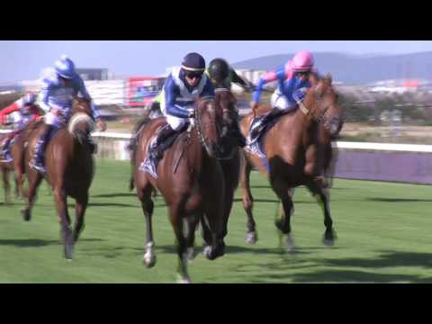 WHISKY BARON DOMINATES SUN MET 2017